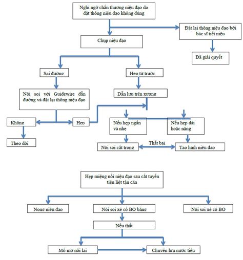 Niệu đạo là một bộ phận của hệ tiết niệu, nó là một ống dài nối từ bàng quang ra lỗ sáo (lỗ tiểu) để đưa nước tiểu ra ngoài. HƯỚNG DẪN CHẨN ĐOÁN VÀ ĐIỀU TRỊ CHẤN THƯƠNG VÀ VẾT THƯƠNG ...