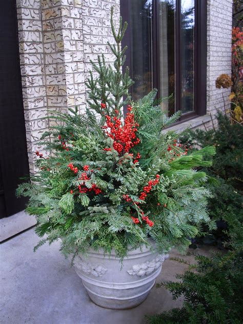 There Are A Number Of Choices Available For Winter Container Gardens
