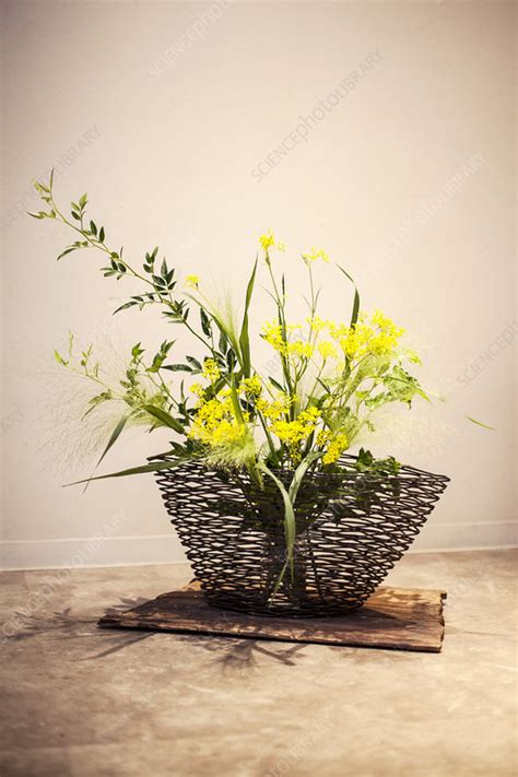 Ikebana Arrangement With Yellow Flowers In Brown Basket Stock Image