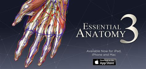 We Are Pleased To Announce That Essential Anatomy 3 Is Now Available On