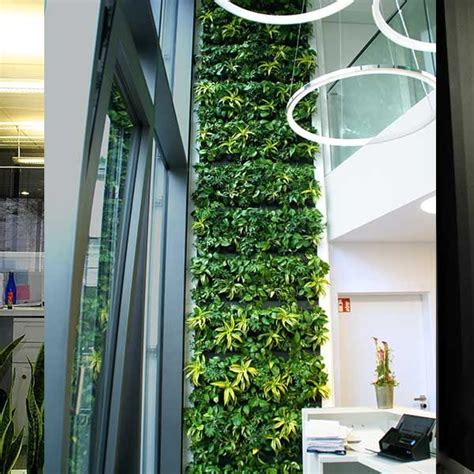 Vertical Green Wall Panels Execuflora