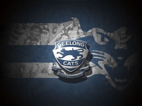 Geelong Desktop Wallpapers Geelong Cats Cat Wallpaper Geelong