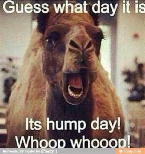 Guess What Day It Is Its Hump Day Whoop Whoop Funny Commercials