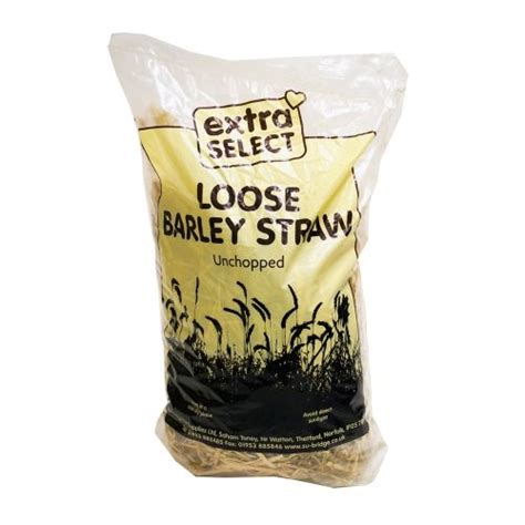 Extra Select Loose Barley Straw Su Bridge Pet Supplies Su Bridge