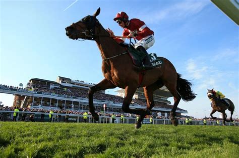 Key trends & betting guide with william hill. Grand National winner Tiger Roll will be back at Aintree ...