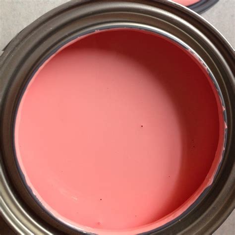 Vibrant Pinkorange Color