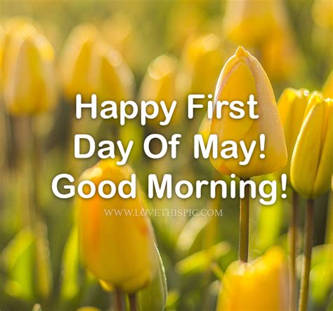Tulips Happy First Day Of May Good Morning Pictures Photos And