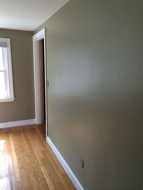 This is a paint color for a sleek look, so it pairs well with minimalist décor. benjamin moore dry sage - Google Search | Sage green walls ...