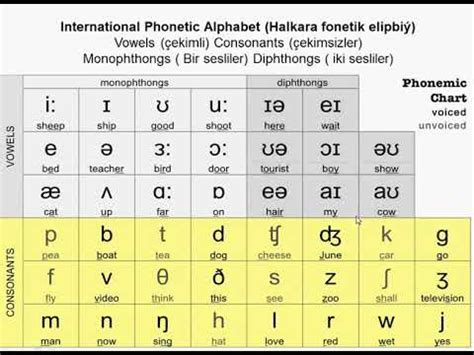 We did not find results for: 1 sapak (lesson)International Phonetic Alphabet (Halkara ...