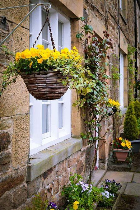 Deadhead flowers regularly to encourage them to summer baskets should not be placed outside earlier than may, while winter baskets can be planted around october and hung right away. Winter Hanging Baskets