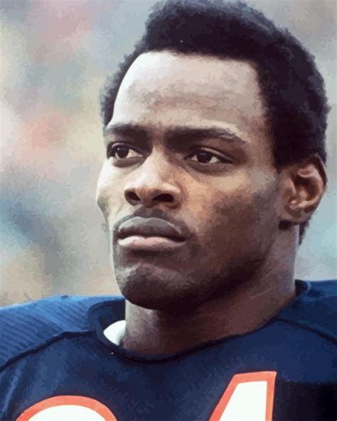 Walter Payton Paint By Numbers Paint By Numbers