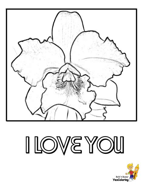 Fancy Flowers Valentines Coloring Pages Kids Valentine