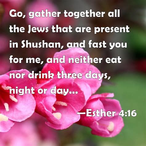 Esther 416 Go Gather Together All The Jews That Are Present In