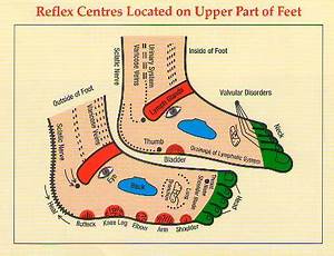 Reflexology Chart Of Foot Foot Reflexology Chart Reflexology