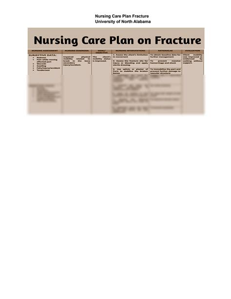 Solution Nursing Care Plan Fracture Una 1 Studypool