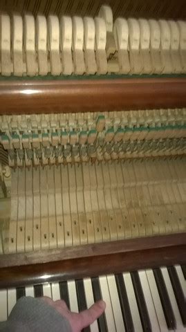 Unsere dienstleistungen im bereich zahnimplantate. Klavier Teile Beschriftet / Tiny Piano Korg Kinderklavier ...