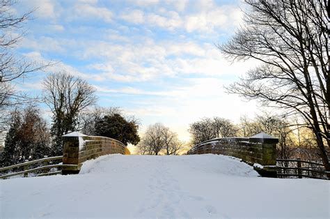 Winter Landscape Free Stock Photo - Public Domain Pictures