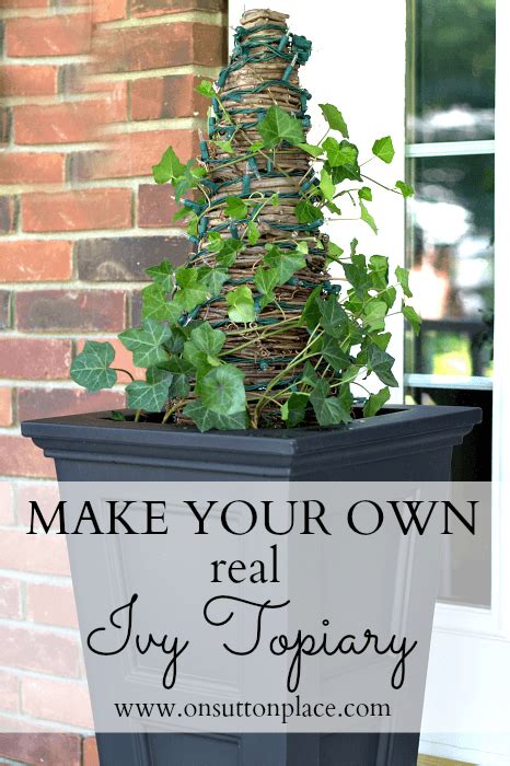 How To Make A Real Ivy Topiary Outdoor Gardens Topiary