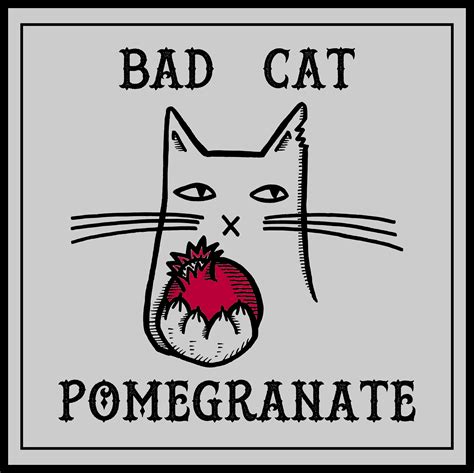 Bad Cat Pomegranate Marcy Very Much