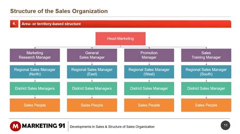 Structure Of Sales Organization Sales Organization Structure Youtube