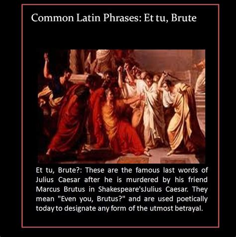 Julius Caesar Quotes Brutus Shortquotes Cc