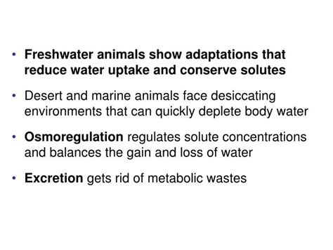 Ppt Freshwater Animals Show Adaptations That Reduce Water Uptake And