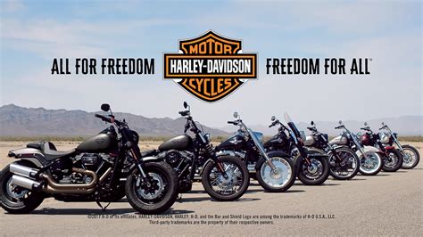 ⭐️ harley davidson softail custom bike by bündnerbike 1. Harley-Davidson launches EIGHT new 2018 Softail models ...