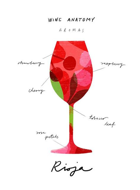 rioja-wine-art-wine-anatomy-print-wine-illustration-etsy-wine-art,-wine-poster,-wine