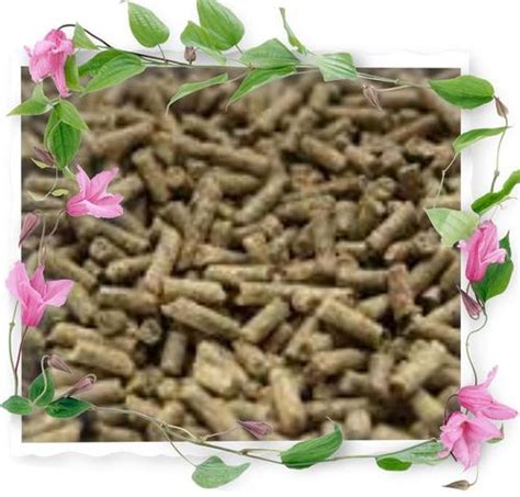 Sugar Beet Pulp Pellets At Best Price In Kiev Agrovmagnet Investment Ltd