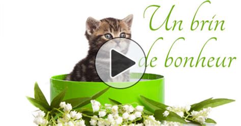 Chaque 1er mai est l'occasion d'offrir un brin de muguet, censé porter bonheur à celui ou. Muguet 1er mai et brin de muguet porte bonheur gratuit