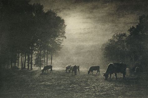Photography as An Art Form - ART PHOTO ACADEMY