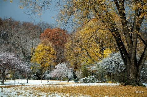 Late Fall Early Snow Fall By Billlee Redbubble