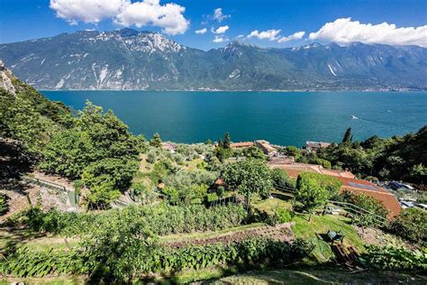 Relax Hotel Villa La Gardenia And Villa Oleandra Limone Sul Garda