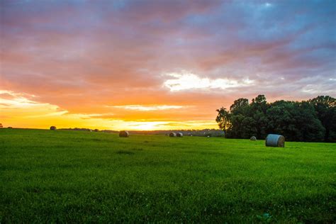 Free Images Landscape Tree Nature Horizon Cloud Sky Sun