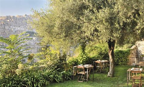 Si tratta di una pianta rampicante molto rigogliosa, dalle fogliame verde scuro e dai fiori davvero incantevoli. Piante sempreverdi: cosa mettere in giardino che durerà ...