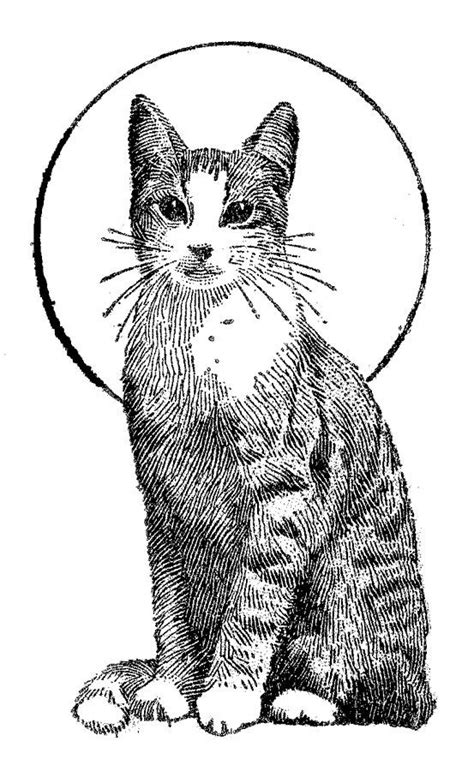 Cat staring at the moon 71ac. Kittens With N? Butterflies Free Coloring Pages - Coloring ...
