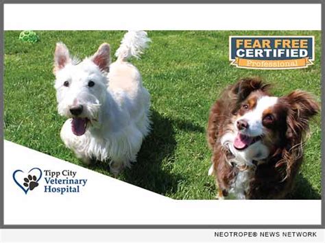See the best & latest fear free certification coupon on iscoupon.com. Tipp City Veterinary Hospital adds add Fear Free ...