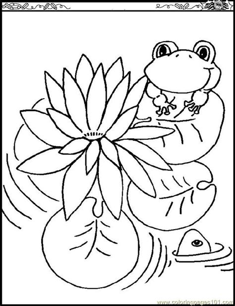 Cartoon frog on lily pad at lake coloring page vector. Water Lily Coloring Page - Free Flowers Coloring Pages ...