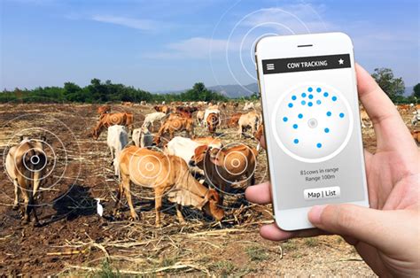 Drones And Facial Recognition For Cows To Keep Them Healthy Flykit Blog