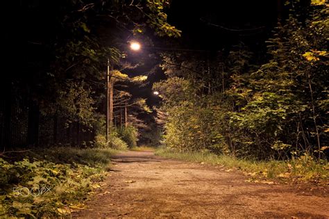 Path To The Darkness A Path Runs Through A Dark Forest
