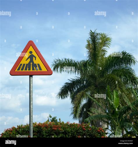 Yield Sign In Spanish Stock Photo Alamy