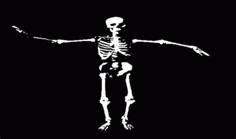 Skeleton Dancing GIF Skeleton Dancing Animation Ищите GIF файлы и