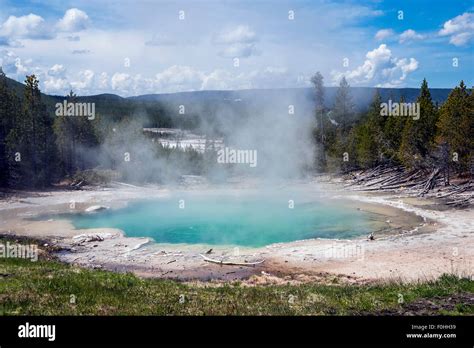 Pool In Emerald Spring Hot Spring Located In Norris Geyser Basin Of