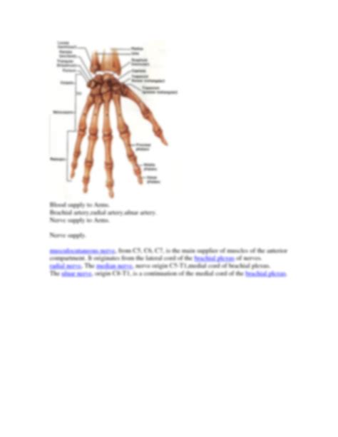 Solution Anatomy Of The Upper Limb Studypool