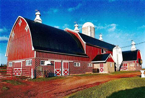 Farmhouse Barn And Other Buildings New Product Product Reviews