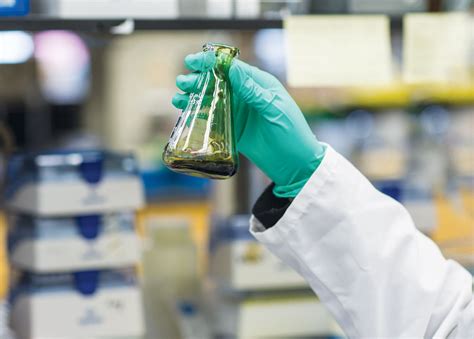 Cbd oils that are for following decarboxylation, your cbd bud is ready to infuse into oil. Increasing the fatty acids in crops' seeds, leaves, and ...