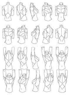 26 Turnaround Body Reference Ideas Figure Drawing Anatomy Drawing