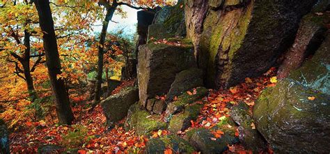 Autumn Rocky Forest Panorama By Jenny Rainbowglorious Autumn Colors Of