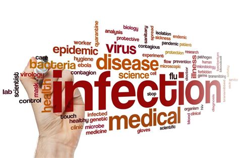 Four Facts About Infection And Its Prevention Alliance For Aging Research