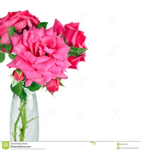 Bouquet Of Pink Roses Flowers In Vase Isolated On White Background